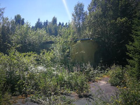 Foto 244